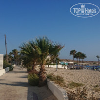 фото из отзыва ID 1828029