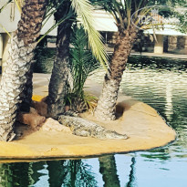 фото из отзыва ID 1828043