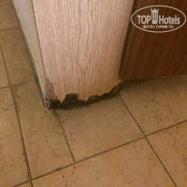 фото из отзыва ID 1828050