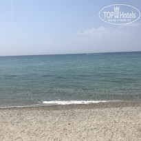 фото из отзыва ID 1828070