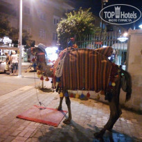 фото из отзыва ID 1828152