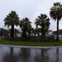 фото из отзыва ID 1828189