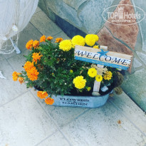 фото из отзыва ID 1828360