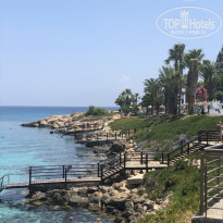 фото из отзыва ID 1828366