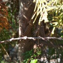 фото из отзыва ID 1827913