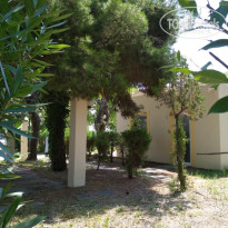 фото из отзыва ID 1827913