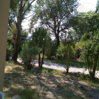 фото из отзыва ID 1827913