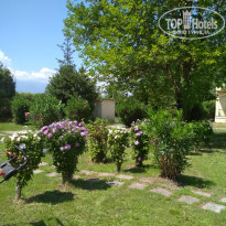 фото из отзыва ID 1827913