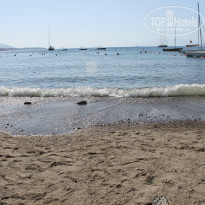 фото из отзыва ID 1828407