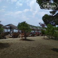 фото из отзыва ID 1827913