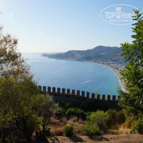 фото из отзыва ID 1828434