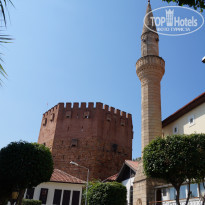 фото из отзыва ID 1828434