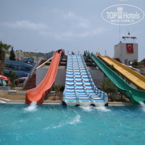 фото из отзыва ID 1828592