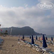 фото из отзыва ID 1828592