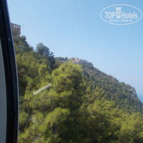 фото из отзыва ID 1828592