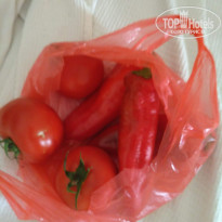 фото из отзыва ID 1828592