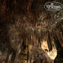 фото из отзыва ID 1828592