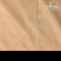 фото из отзыва ID 1828636