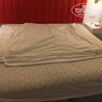 фото из отзыва ID 1828636