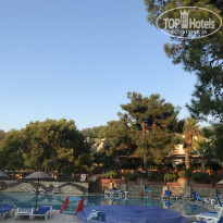 фото из отзыва ID 1828286