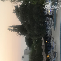 фото из отзыва ID 1828286