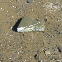 фото из отзыва ID 1828899