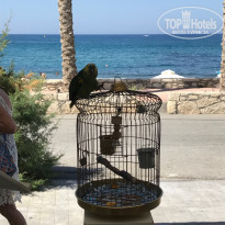 фото из отзыва ID 1828942