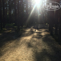 фото из отзыва ID 1829065