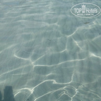 фото из отзыва ID 1828462