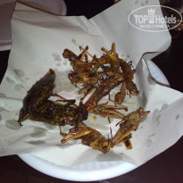 фото из отзыва ID 1829419