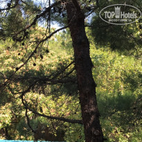 фото из отзыва ID 1829425