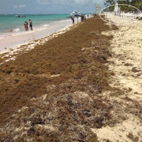 фото из отзыва ID 1829574