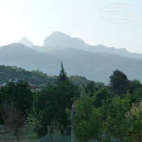 фото из отзыва ID 1829500