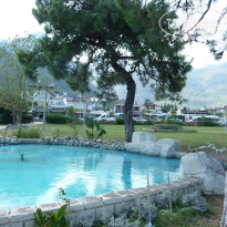 фото из отзыва ID 1829500