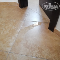 фото из отзыва ID 1829646