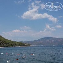 фото из отзыва ID 1829654