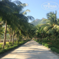 фото из отзыва ID 1829733