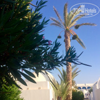 фото из отзыва ID 1829836