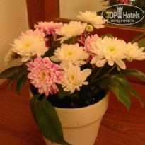 фото из отзыва ID 1829473