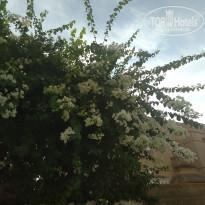 фото из отзыва ID 1829982