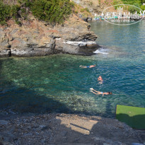 фото из отзыва ID 1827664