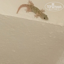 фото из отзыва ID 1823056