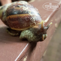 фото из отзыва ID 1826406