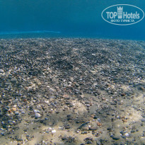 фото из отзыва ID 1820421