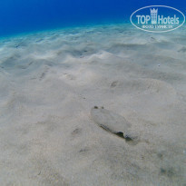 фото из отзыва ID 1820421