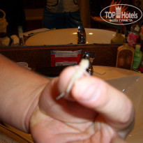 фото из отзыва ID 1829976