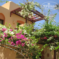 фото из отзыва ID 183112