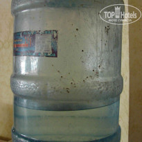 фото из отзыва ID 183118