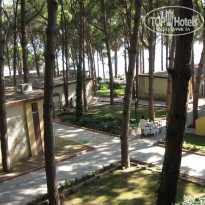 фото из отзыва ID 183420