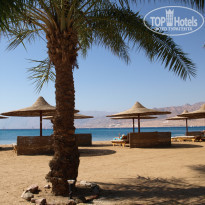 фото из отзыва ID 183447